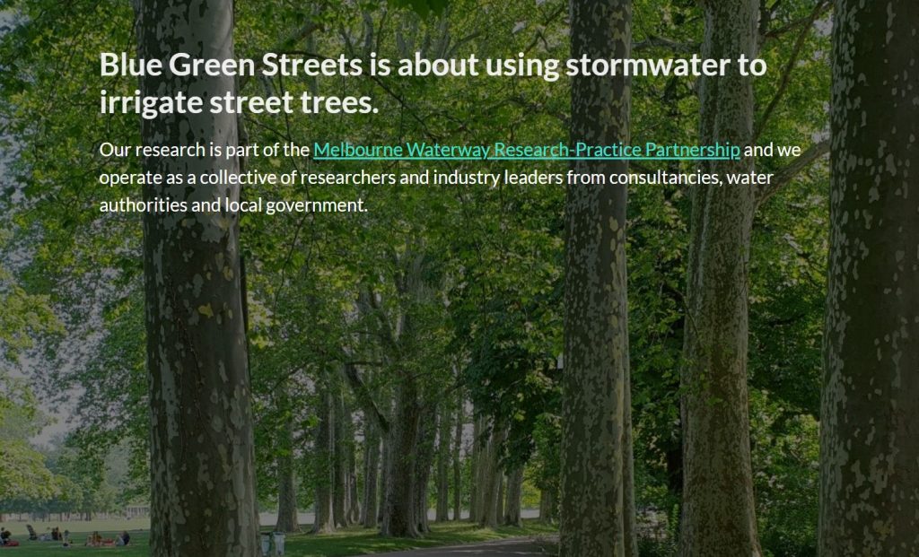 An avenue of tall plane trees in full summer leaf, with the Blue Green Streets tagline about using stormwater to irrigate street trees overlaid at the top.