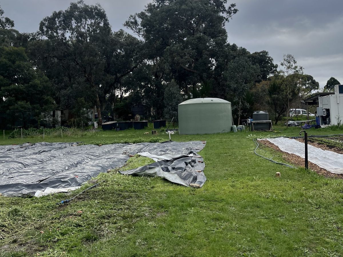 A large green rainwater tank at the Caring Farms Co-op in Greensborough, with covered market garden beds in the foreground and tall eucalypts behind.
