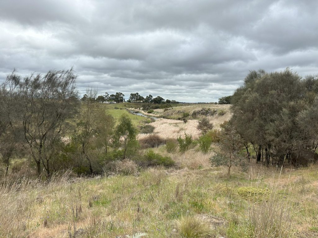 Kororoit Creek winding through a shallow valley of native grasses, reeds and scattered trees under an overcast sky, near where the Deanside wetland outlet will connect.